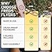 Fred's Flyers Balsa Wood Airplane Kits - 5-Pack - USA Made Wooden Glider Toy Planes for Kids