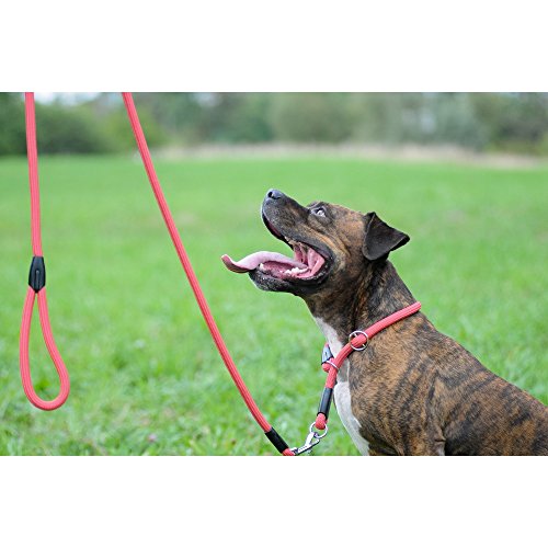 Dingo Black Cord Lead, Handmade Light Leash for Dog in Snake Style 10430, 8 mm x 120 cm - Image 3