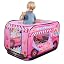 Pink(ice Cream Truck)