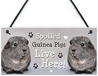 RED OCEAN Spoiled Guinea Pigs Live Here Handmade Gift Sign For Guinea Pig Owners Pet Gift