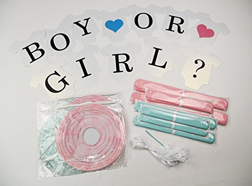 Gender Reveal Party Supplies Baby Shower