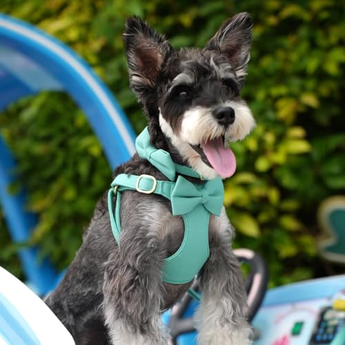 Beirui Adorable Small Dog Harness Collar and Leash Set,Cute Puppy Harness Set with 3 Bows for Small Dogs,Shih Tzu,Dachshund,Adjustable Step-in Vest for Daily Walking,Parties&Holiday Outfits(Teal,S) - Image 3