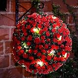 Doppelfunktion - statisch oder blinkend