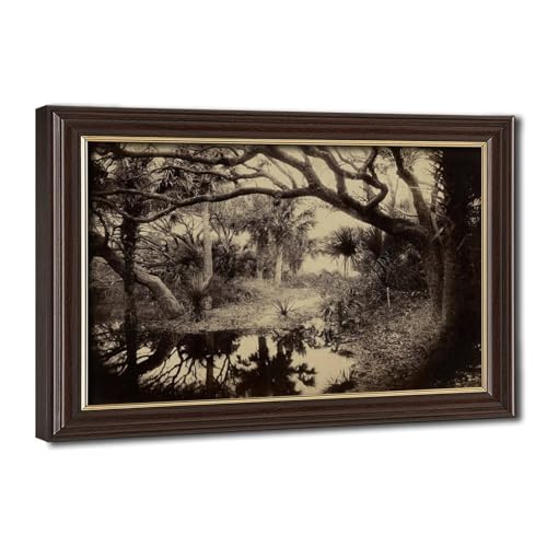 Photo vintage George Barker haut de gamme : impression toile Florida Everglades cadre à suspendre