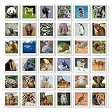 Zoom IMG-1 educa identic animal gioco di Zoom IMG-1 educa identic animal gioco di