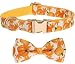 Fall Dog Collar with Removable Bow Tie for Large Dogs, Halloween Thanksgiving Dog Collar