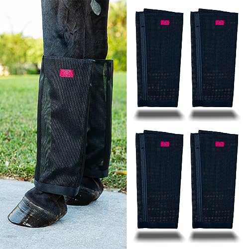 Top 10 Best Leg Protection For Horses Reviews & Buying Guide Katynel