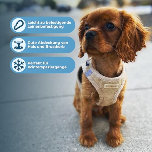 Voyager Step-In Plüsch-Hundegeschirr by Best Pet Supplies - Step-In-Westengeschirr für kleine und mittelgroße Hunde, Weicher Plüsch, Latter, size XS - Brust 33-37 cm