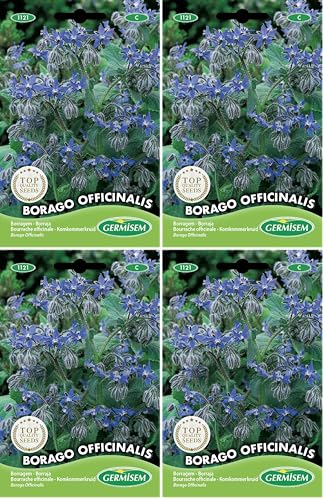 Germisem Borago Officinalis Semillas de Borraja 2 g (Paquete de