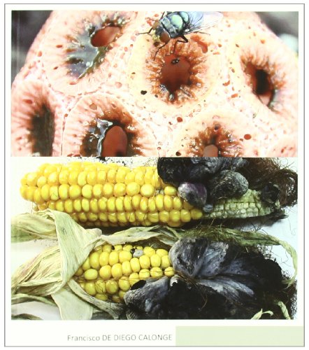 Hongos medicinales (Botánica)