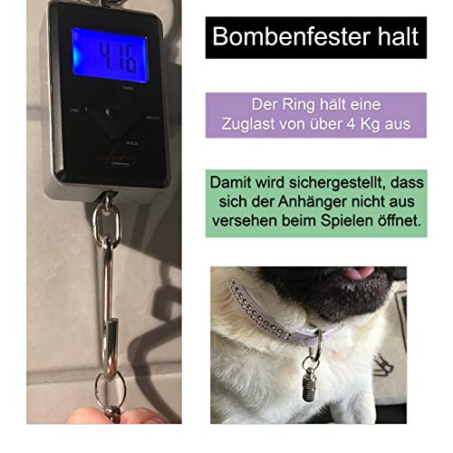 Aribari 2 x Adressanhänger für Hunde und Katzen, Halsbandanhänger, Namensschild auch für kleine Tiere geeignet, Anhänger zur Tierkennzeichnung, aus Metall und wasserdicht