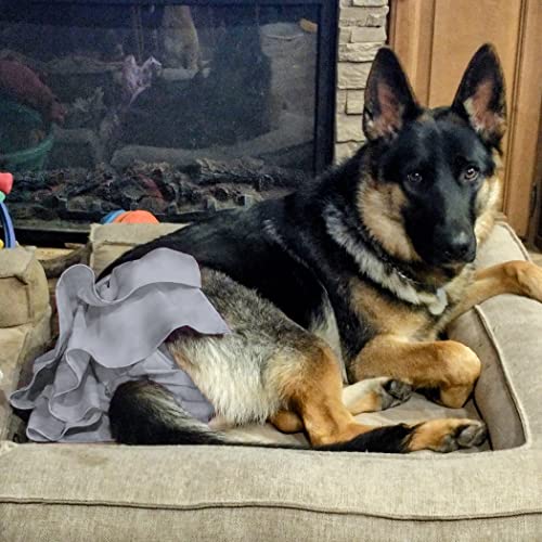 Image of wegreeco Dog Diapers Female (3 Pack), Highly Absorbent Puppy Doggie Dog Diapers for Female Dogs Period, Washable Doggy for in Heat, Small Medium Large Size (Large)
