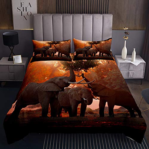 Elefant Steppdecke 3D Wildtiere Muster Bettüberwurf 220x240cm für Kinder Adult Tierwelt Design Tagesdecke Naturthema Mit 2 Kissenbezug