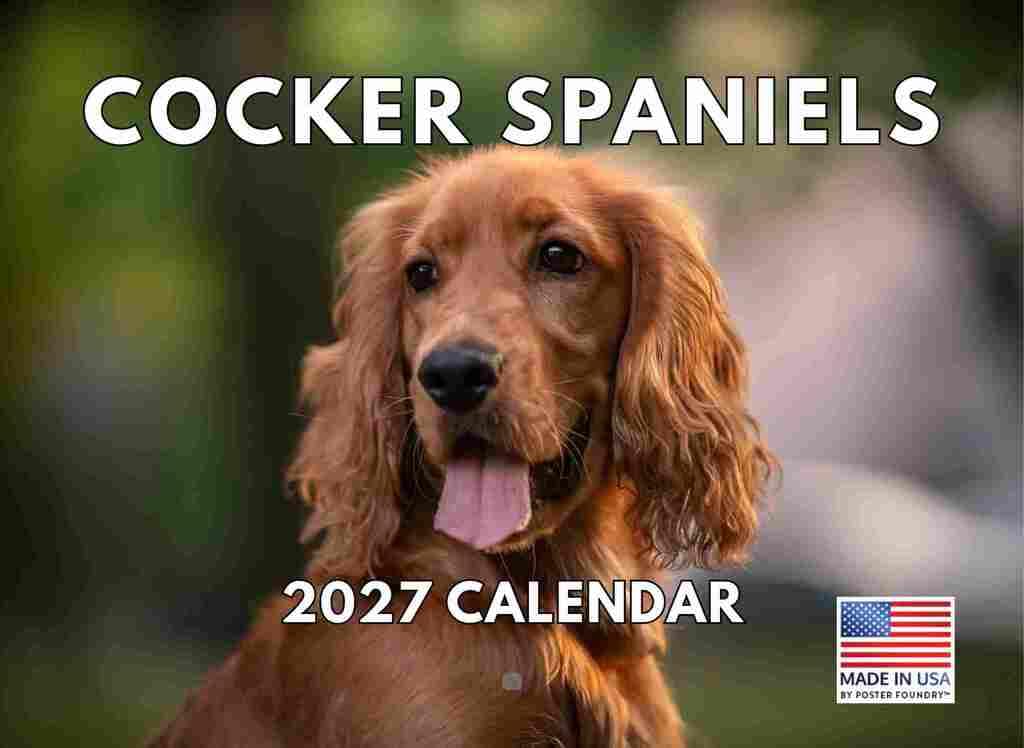 Cocker Spaniel Dog Calendario de pared 2025 | Fabricado en los Estados Unidos