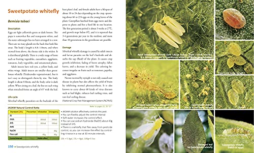 Jadam Organic Pest And Disease Control: Powerful Diy Solutions To 167 Common Garden Pests And Diseases, The Way To Independence From Commercial Pesticides #TOP6