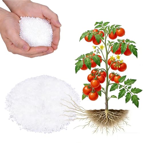 1LB Calcium Nitrate Fertilizer 15.5-0-0 Nitrogen Fertilizer with Calcium Indoor Plant Fertilizer Plant Food for Houseplants Lawn Vegetable Trees Boost Stem & Leaf Growth Improves Root Health