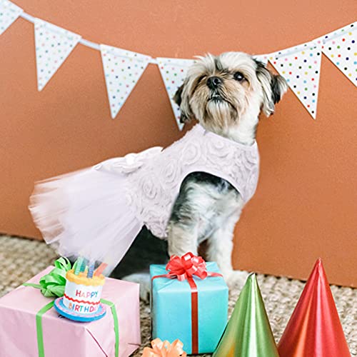 Asenku Dog Dress Pet Wedding Dress Princess Lace Puppy Birthday Party Outfit Formal Apparel Girl For Small Medium Dogs Cats (Medium, White) #TOP4
