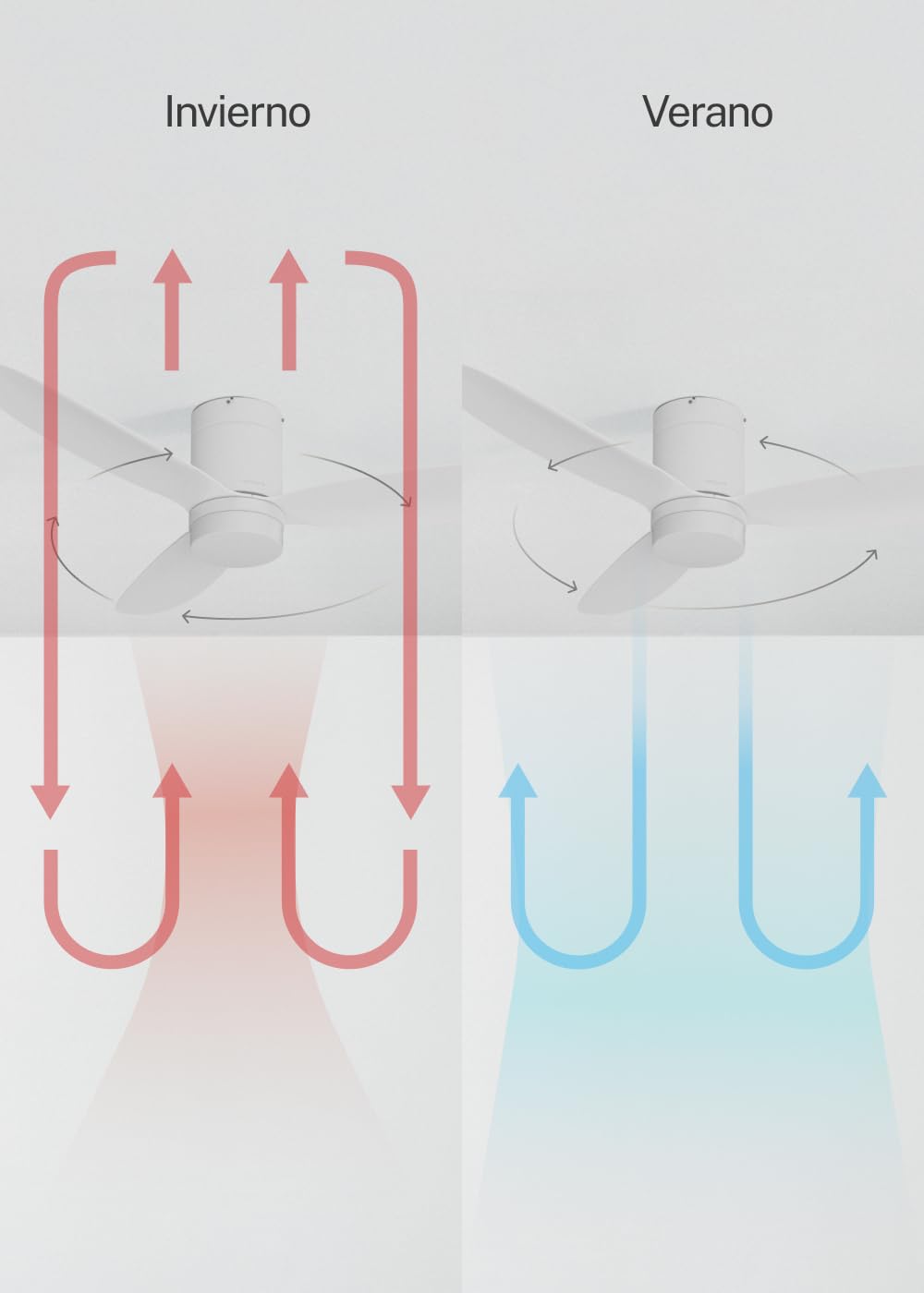 CREATE / WIND LITE/Ventilatore da soffitto con luce bianco con telecomando / 40W, Silenzioso, Ø132 cm, 6 velocità, programmabile, funzione estate-inverno, luce LED 3 temperature