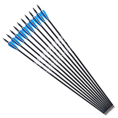 Tiger Archery 30inch Fiberglass Arrow with Replaceable Arrowhead Spine 500 for Recurve and Compound Bow Hunting and Practice Hunting(Pack of 12) - Thumbnail 5