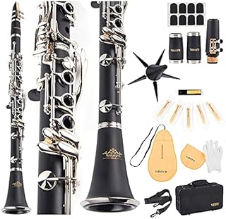 YANASON B Flat Clarinet with 2 Barrels, Case, Stand, Strap, Reeds,8 Pads, 2 Cleaning Cloth and More