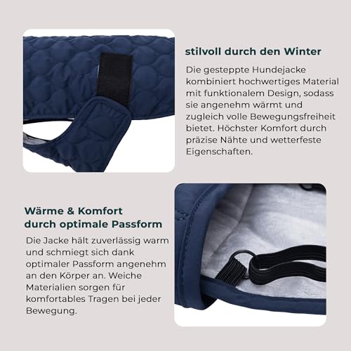 Wanderpfote Hundemantel – Steppjacke Hundejacke Stilvoll und Elegant – Hundemantel Wasserdicht – optimal für kleine und mittelgroße Hunde (Blau, M)