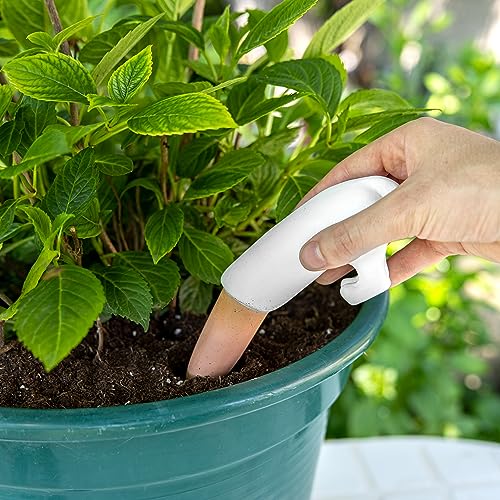 Fisura - Self-watering for original pots. Black automatic watering system in the shape of a dog. Watering system for indoor plants with a capacity of 100 millilitres. Material: terracotta. - Image 4