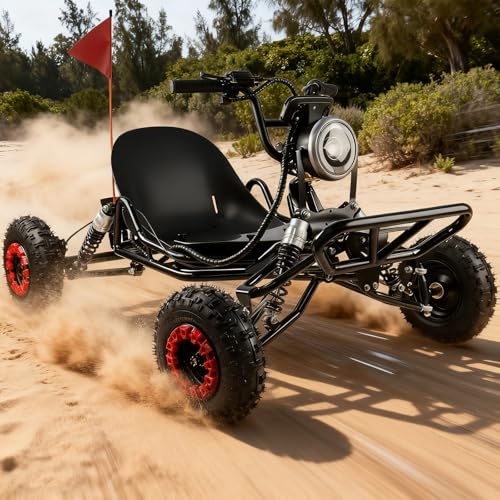 2000W Electric Go Kart for Adults