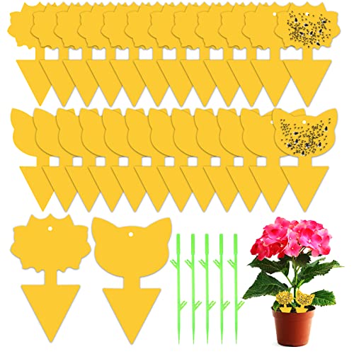 Fruit Fly Trap, 24 PCS Yellow Sticky Fly Traps Killer Fungus Gnat Sticky Traps, Double-Sided Fly Catchers for Protect Plants and Control Indoor Plant Bug, Fly Paper for Flies Mosquitoes Fungus Gnats