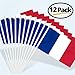 Anley France Mini Flag 12 Pack - Hand Held Small Miniature French Flags on Stick - Fade Resistant & Vivid Colors - 5x8 Inch with Solid Pole & Spear Top