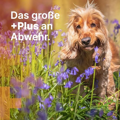 MediBark Zeck Protect - Hundeleckerli mit Schwarzkümmelöl & Zistrose - Schutz in Hochsaison - Glutenfrei & Zuckerfrei - fördert Verdauung & Abwehrkräfte - Leckerlis für Hunde - 150g
