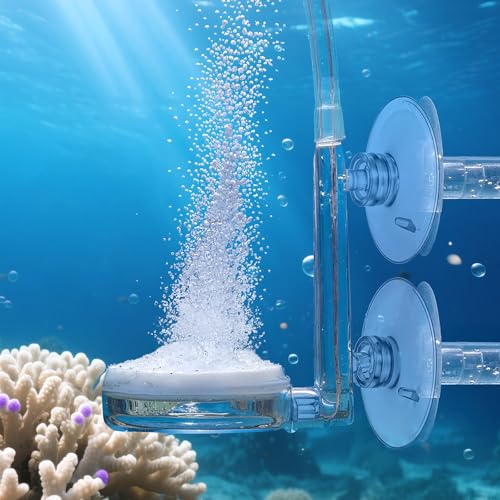 FNANJWQ Aquarium Air Stone Disc CO2 Diffuser for Aquarium Plants Fish Tank Nano Bubble Stone Kit Ultra-high Dissolved Bubbler Airstone with Accessories for Fish Tank and Small Bucket