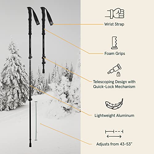 Image of Retrospec Drifter 25 /30 Inch Snowshoes & Trekking Poles Bundle for Men & Women, Durable All Terrain with Fully Adjustable Binding and Carry Bag with Lightweight Aluminum Hiking & Walking Sticks