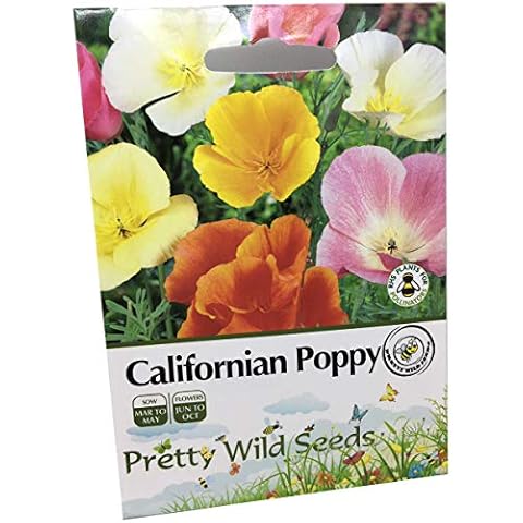 2000 Californian Poppy Seeds by Pretty Wild Seeds Cover
