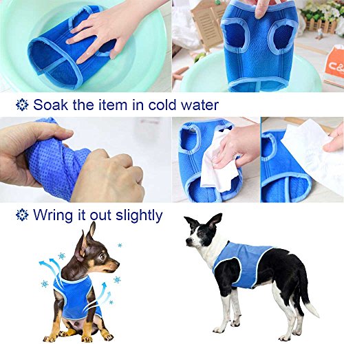 Zunea Dog Cooling Vest for Small Medium Large Dogs Breathable Chill Out Cool Jacket Summer Soft Anti Heat Swamp Cooler Coat for Outdoor Hiking Training - Image 3