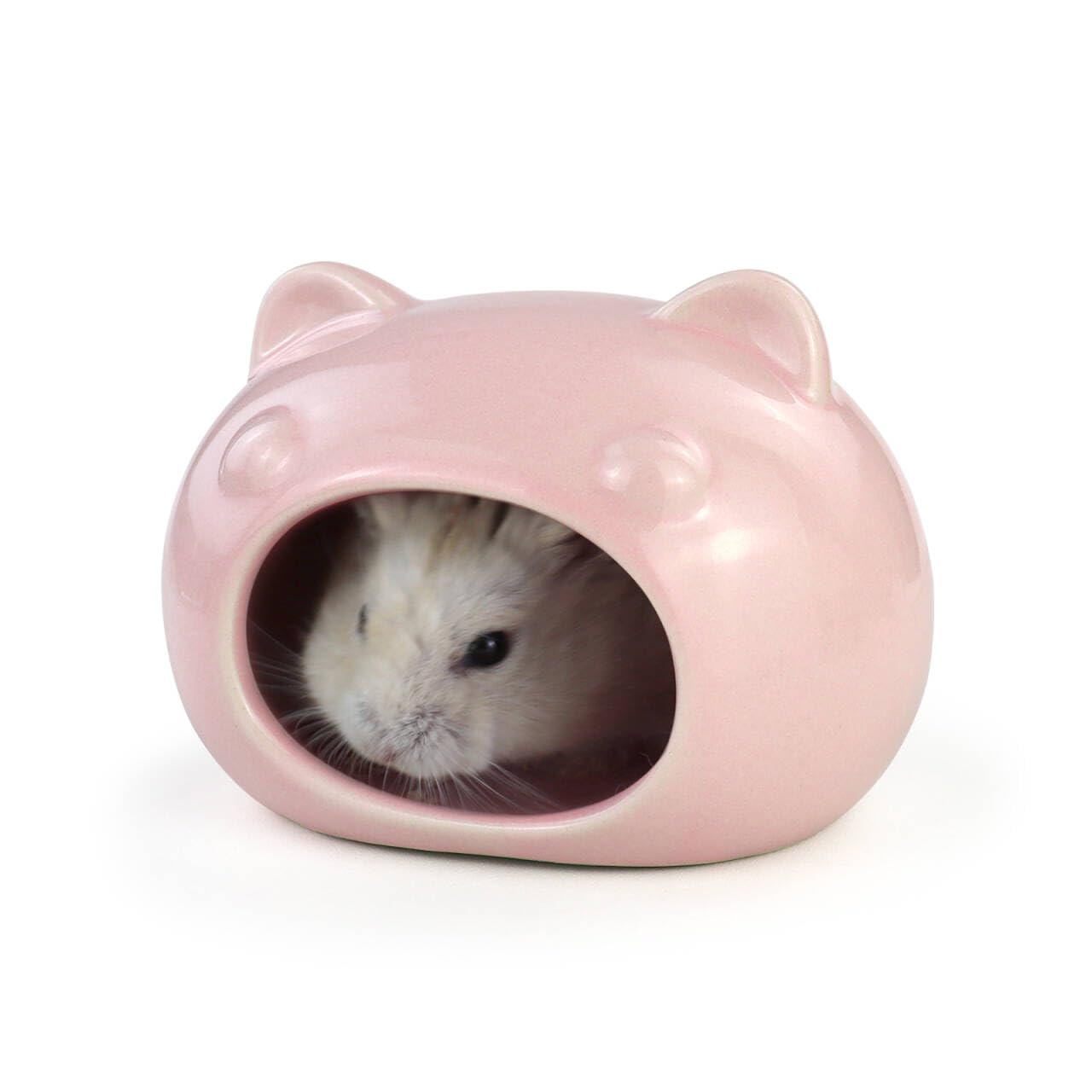 Maison en céramique hamster rafraîchissante pour éviter le coup de chaleur en été