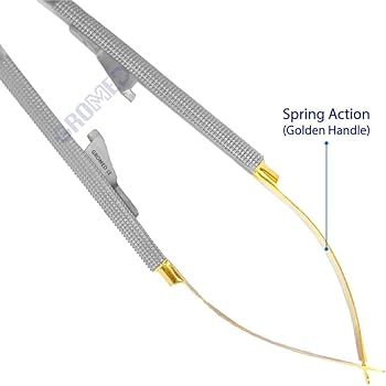 51Z8Baepl9L._AC_UF350,