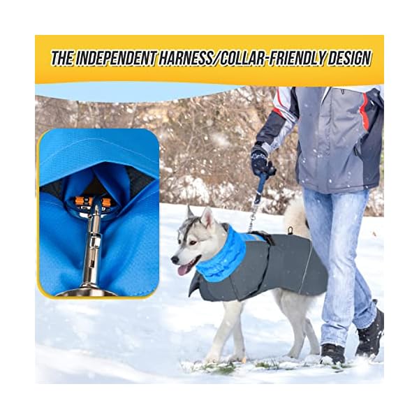 SlowTon Dog Winter Coat, Adjustable Warm Fleece Lining Dog Jacket with Leash Opening Reflective Stripe, Windproof Cold Weather Dog Vest Dog Apparel for Medium Large Dogs (Blue,XL) SlowTon Dog Winter Coat, Adjustable Warm Fleece Lining Dog Jacket with Leash Opening Reflective Stripe, Windproof Cold Weather Dog Vest Dog Apparel for Medium Large Dogs (Blue,XL)