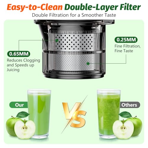 image for LQZ Cold Press Juicer, Masticating Juicer with 5.4