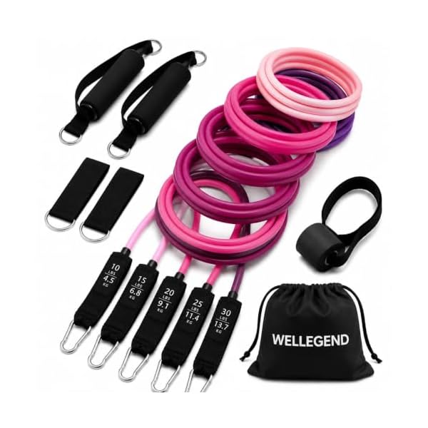 WELLEGEND Resistance Bands Set with Complete Workout Accessories
