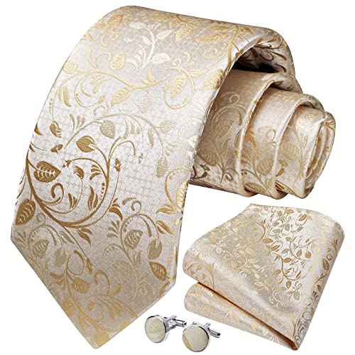 Image of HISDERN Ties for Men Paisley Floral Mens Ties and Pocket Square Cufflinks Set Classic Business Necktie Handkerchief