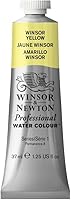 Vista 448 de Winsor & Newton - Pintura para acuarela profesional
