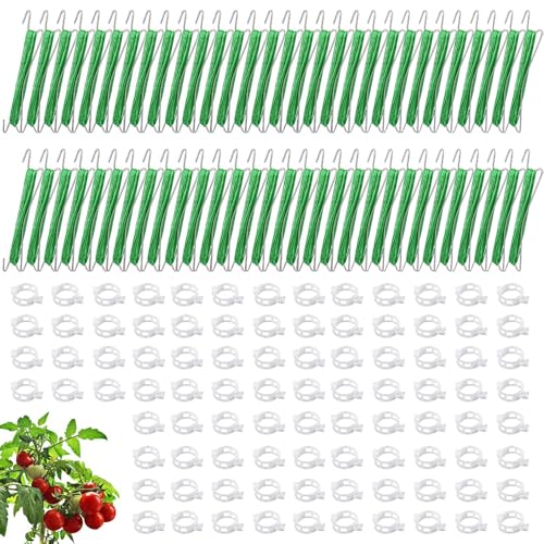 HuaMuDM Tomatenhaken mit Schnur 60 Stück Tomatenhaken mit 120 Pflanzenschnalle &15m Seil Tomatenhaken Set Pflanzenbieger Clips Garden Tomato Hooks Doppelte Tomatenhaken für Hängende Tomaten und Gurken