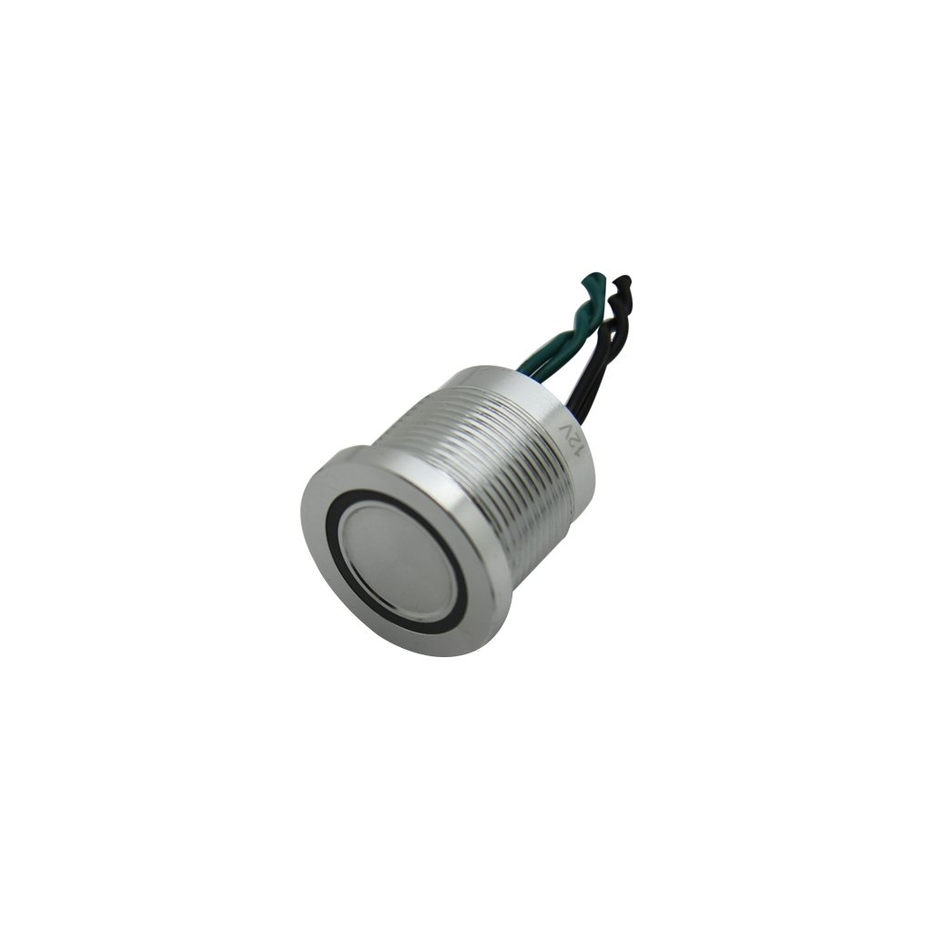 PS193P10Y01G24L Commutatore: piezoelettrico Pos: 2 SPST-NO 0,2A/24VAC IP68 ONPO