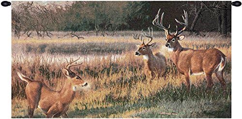 Shadow Tales Fine Art Tapestry - 47 in. x 26 in. Cotton/Viscose/Polyester by Charlotte Home Furnishings