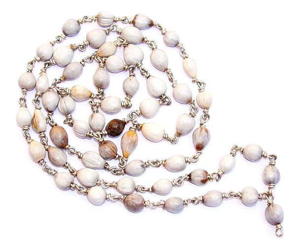 FOREVER Gems Natural Vaijayanti Mala Original Certified AAA+++ Vaijayanti Japa Mala 108 Beads Vaijanti Mala Baijanti Ka Mala In Silver Chain Baijayanti Japa Mala Krishna Vaijayanti Mala वैजन्ती माला (B0D7MF3SXP) Amazon Price History, Amazon Price Tracker