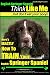 English Springer Spaniel | Think Like Me, But Don't Eat Your Poop!: Here's Exactly How To Train Your English Springer Spaniel (English Springer Spaniel Dog Training) (Volume 1)