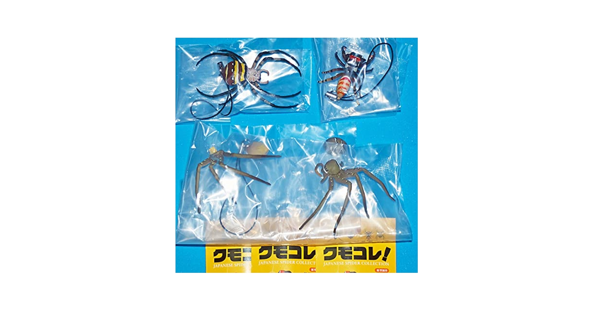 日本のクモ 楽天市場】カプセルQ ミュージアム 日本の 蜘蛛 ストラップ