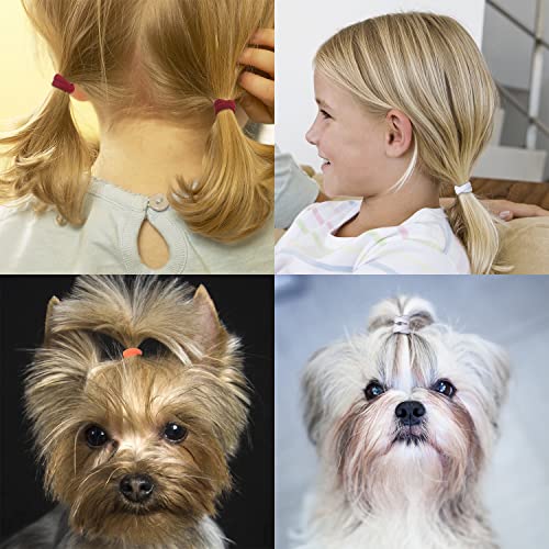 300 Pcs Colorful Small Rubber Bands Dog Hair Ties,Mini 25 Mm Puppy Yorkie Accessories Girl Super Stretch Nylon Hair Bands Dog Bows Grooming In 25 Colors #TOP6