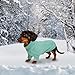 Brabtod Thermal Knitted Dog Dachshund Sweater,Turtleneck Pullover with Sleeves,Soft Puppy Winter Clothes Pet Coat Elastic Jacket Dog Outfits,Ideal for Dachshund and Mini Dachshund(Green,Medium)