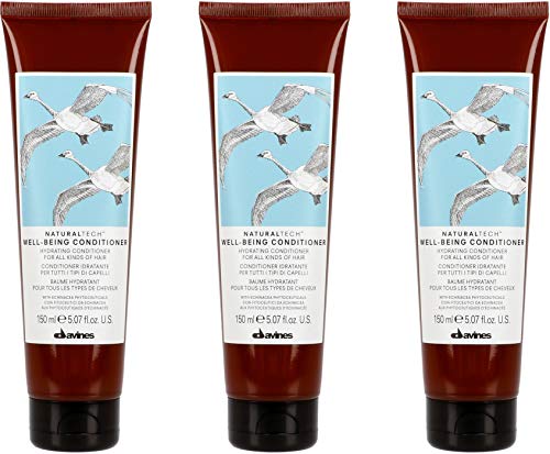Preisvergleich Produktbild Davines Naturaltech - Well Being Conditioner 3x150 ml
